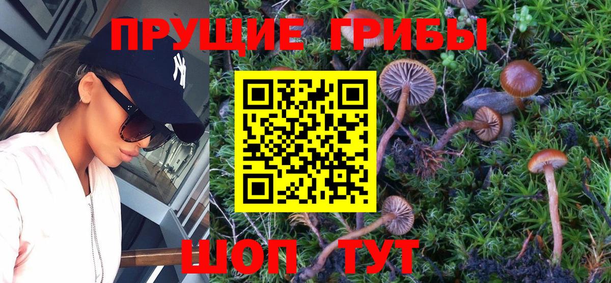 Псилоцибиновые грибы Magic Shrooms Пугачёв